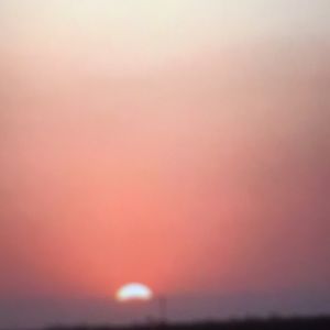 Meet your Posher, Marcella